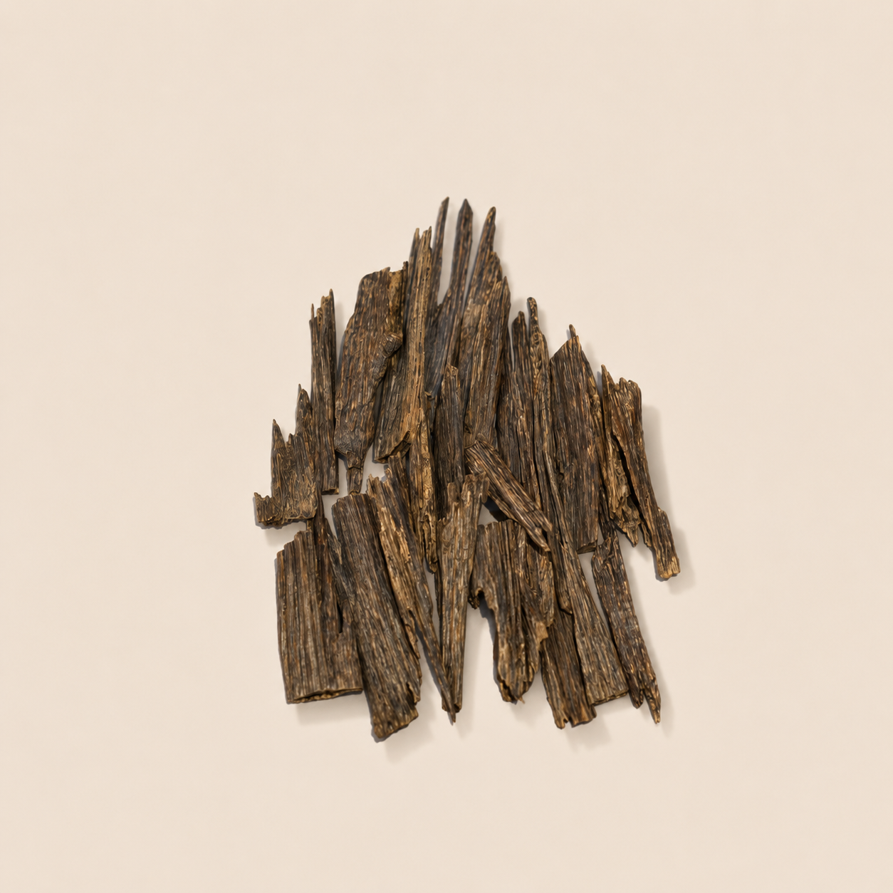 Oudh Majlis